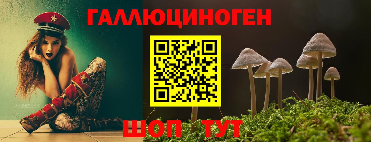 Псилоцибиновые грибы MAGIC MUSHROOMS  Вход с VPN  Димитровград 